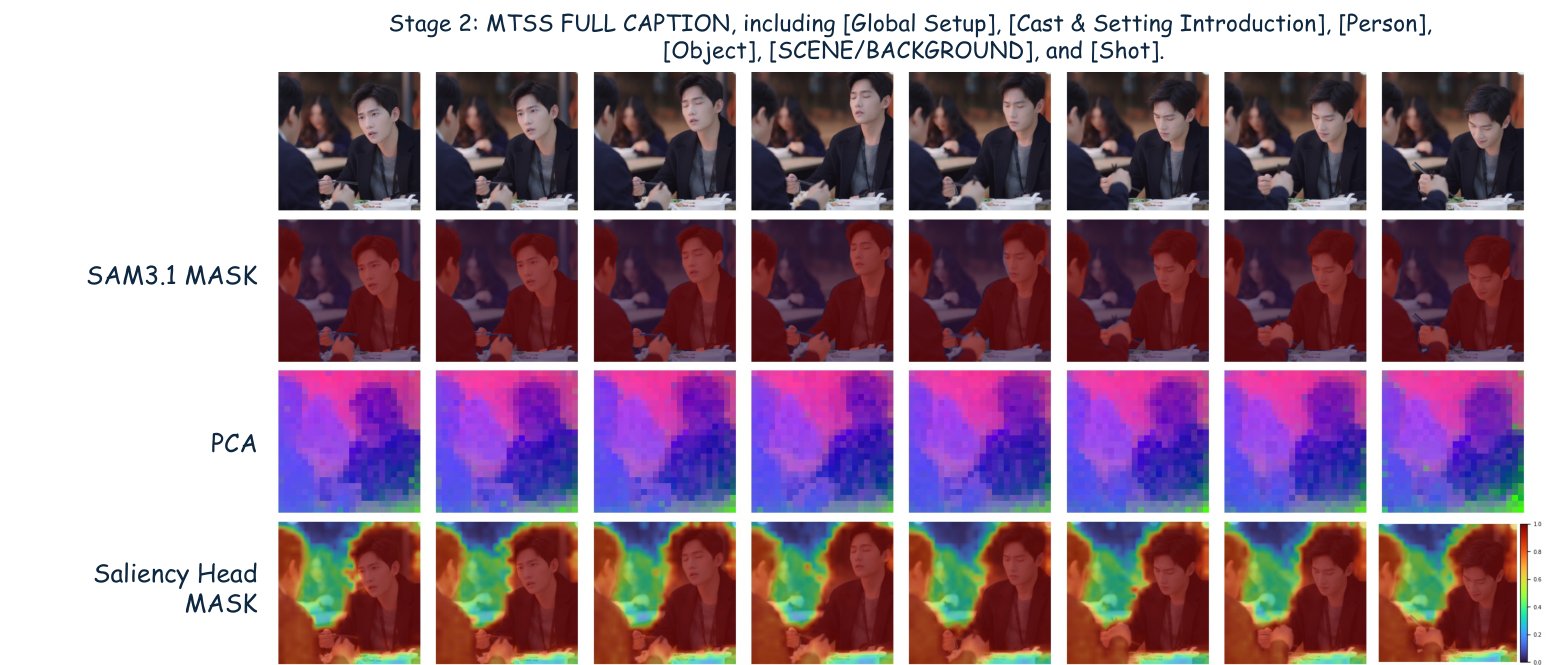 Stage 2 saliency on the full MTSS caption